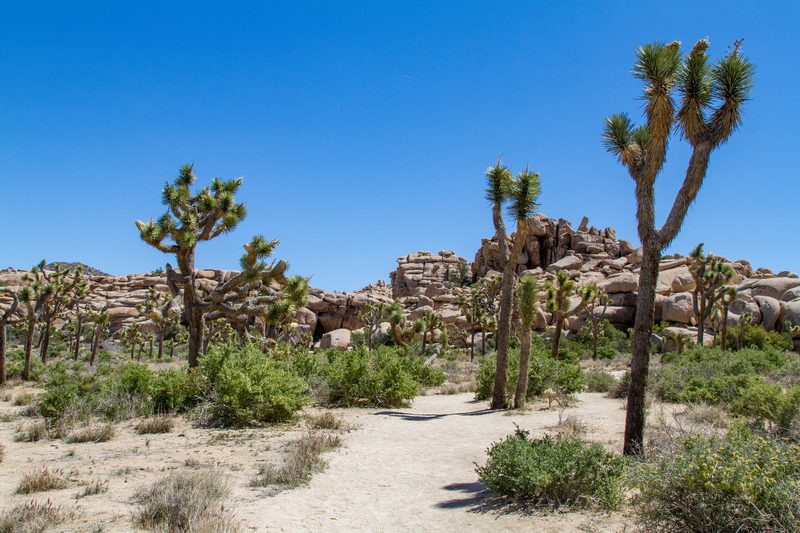 Barker Dam area