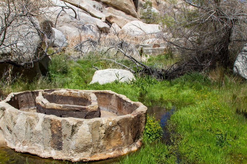 Strange cattle trough