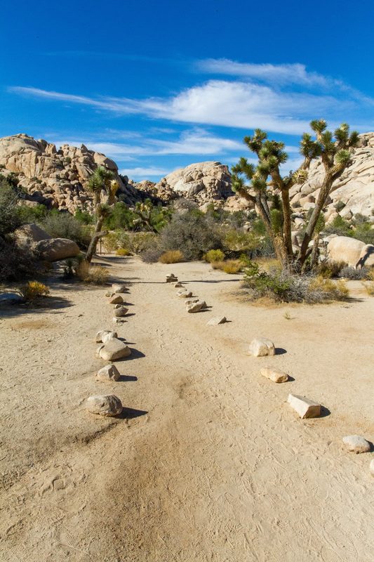 Path