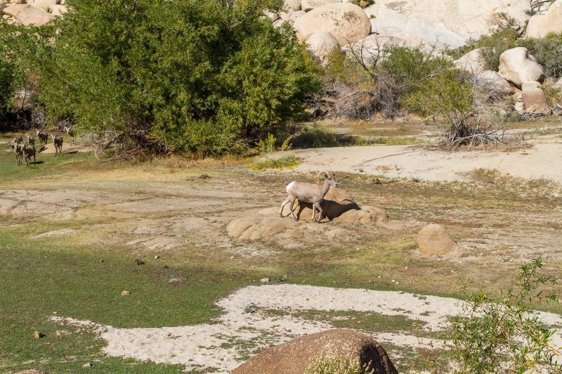 Barker Dam