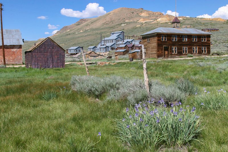 Schoolhouse, mill and irises.