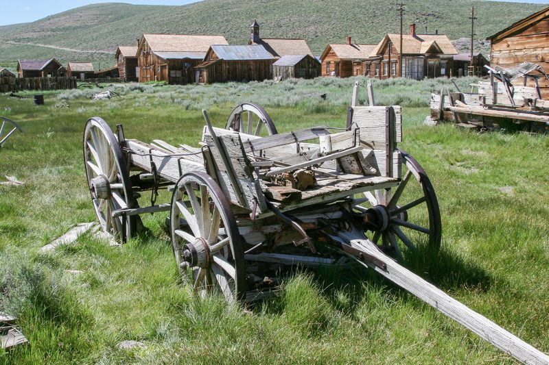Wagon.