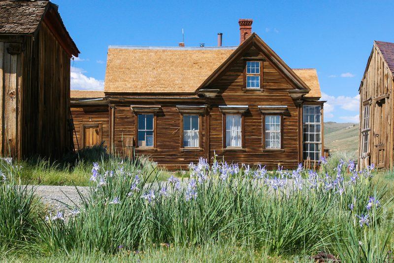 Cain residence and irises.