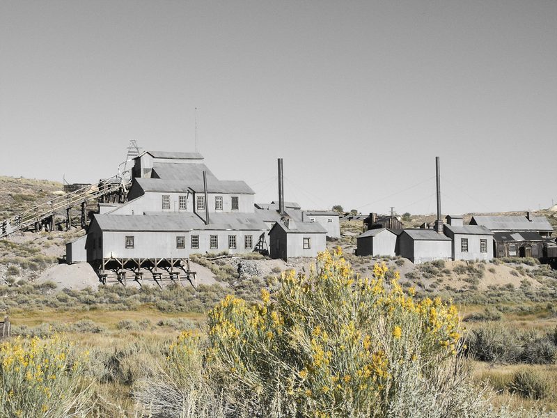 Standard Mill.